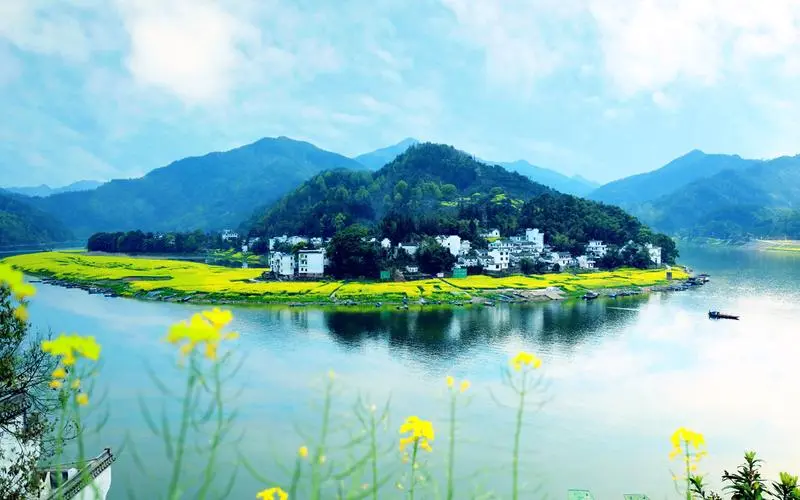 稳定性高端
